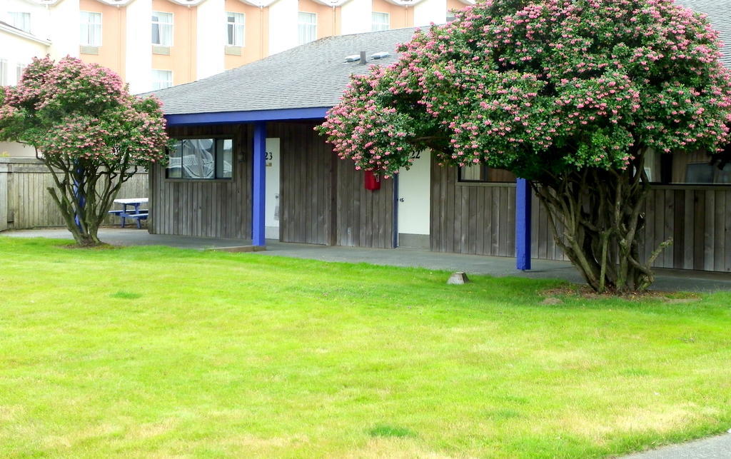 Weatherly Suites Ocean Shores Exteriör bild